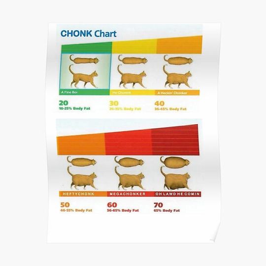 Discover cat chonk chart meme Premium Matte Vertical Poster