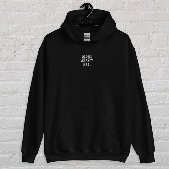 Discover Birds Aren't Real Hoodie - Conspiracy Theories Gift - Embroidered Hoodie