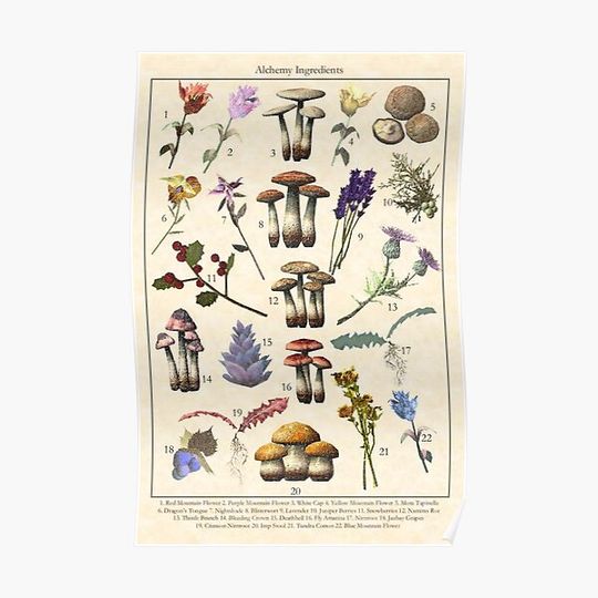 Discover Skyrim Vintage Alchemy Poster Premium Matte Vertical Poster