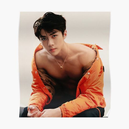 Discover Sehun Exo Premium Matte Vertical Poster