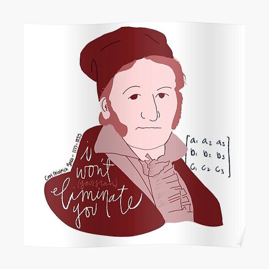 Discover Carl Friedrich Gauss Premium Matte Vertical Poster