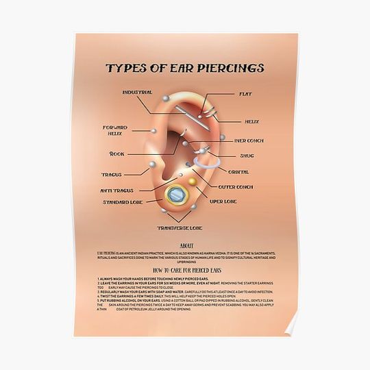 Discover Types of Ear Piercings, Ear Piercing Chart, Premium Matte Vertical Poster