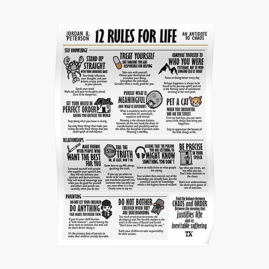 Discover 12 Rules for Life Visual Book (Jordan B. Peterson) Premium Matte Vertical Poster