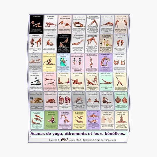Discover Board "Global Asanas" 42 postures and stretching Premium Matte Vertical Poster