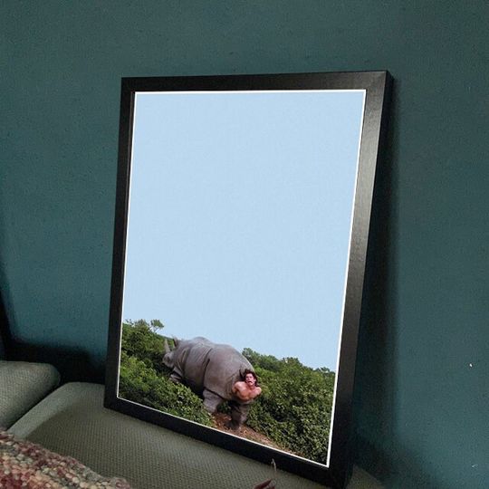Discover Ace Ventura Rhino Poster, Ace Ventura Pet Detective
