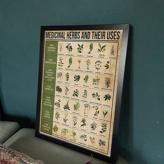 Discover Medicinal Herbs And Their Uses Poster, Medicinal Plants Knowledge Poster, Gift
