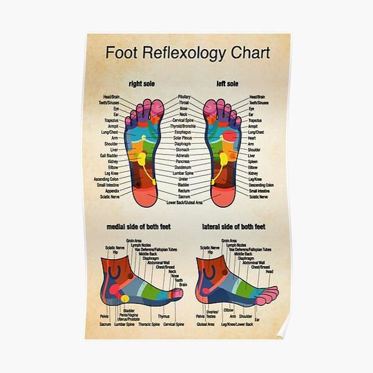 Discover Foot reflexology chart Premium Matte Vertical Poster