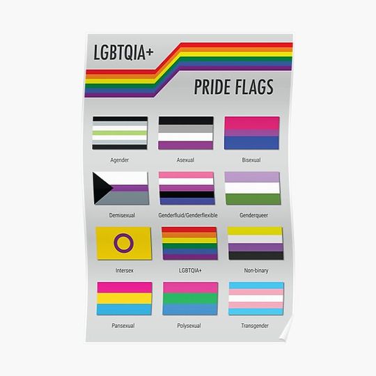 Discover LGBTQIA+ Pride Flags Premium Matte Vertical Poster