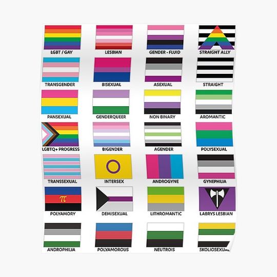 Discover LGBT FLAGS Premium Matte Vertical Poster