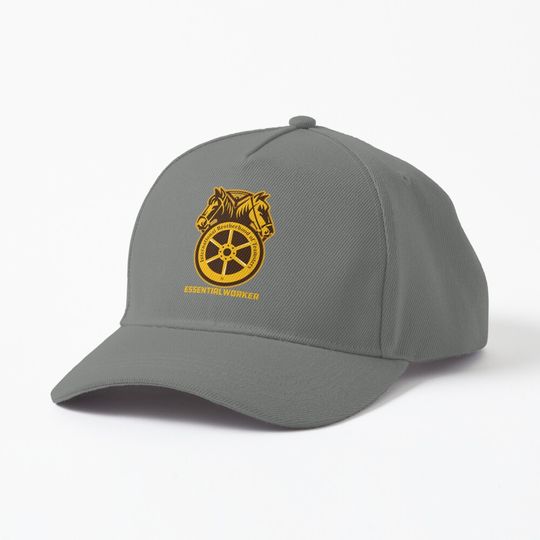 Discover U.P.S Worker Teamster Cap Gift
