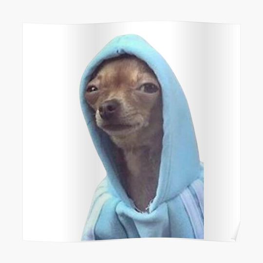 Discover dog meme Premium Matte Vertical Poster