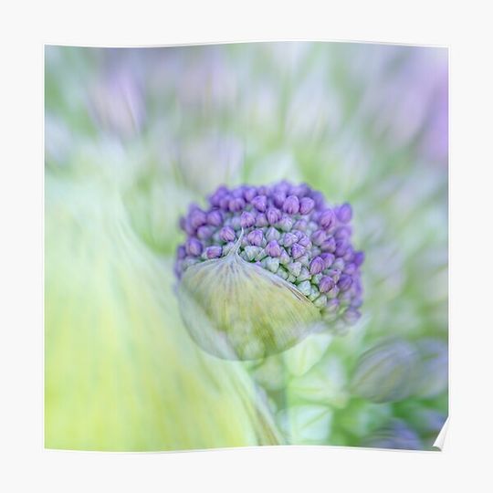 Discover Culinary Edibles Premium Matte Vertical Poster