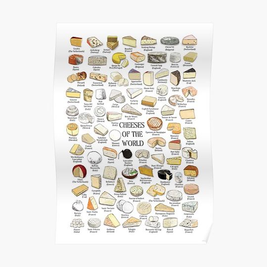 Discover Cheeses of the World Premium Matte Vertical Poster