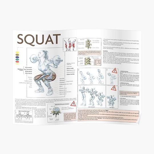Discover Squat - Exercise Diagram Premium Matte Vertical Poster