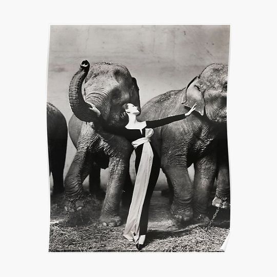 Discover Dovima with elephants, 1955 - RICHARD AVEDON - Fashion Photography Premium Matte Vertical Poster