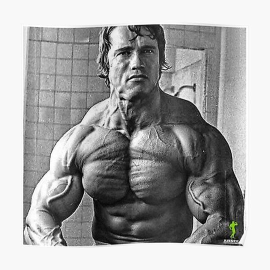 Discover Arnold Schwarzenegger Premium Matte Vertical Poster