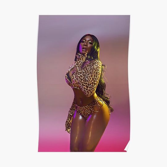 Discover Megan Thee Stallion Premium Matte Vertical Poster