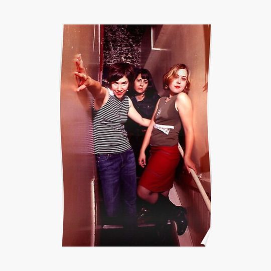 Discover Sleater Kinney Premium Matte Vertical Poster