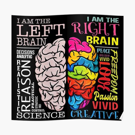 Discover Brain Parts Left and Right Brain Neuroscience Premium Matte Vertical Poster