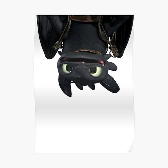 Discover Toothless Premium Matte Vertical Poster