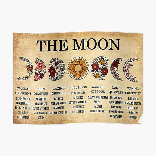 Discover The Moon Phase Meanings Witchcraft Premium Matte Vertical Poster