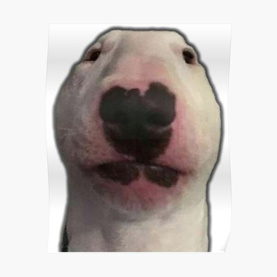 Discover Walter Dog Meme Premium Matte Vertical Poster