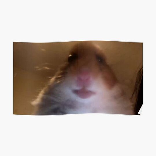 Discover Staring Hamster meme Premium Matte Vertical Poster