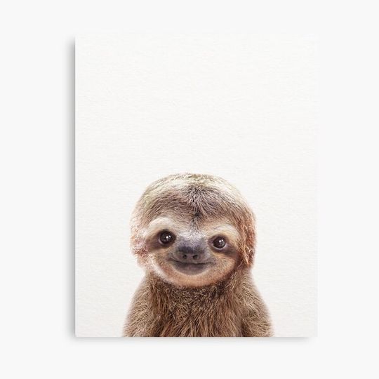 Discover Baby Sloth, Baby Animals Art Print by Synplus Canvas