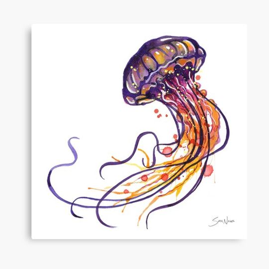 Discover Jellyfish watercolor Canvas