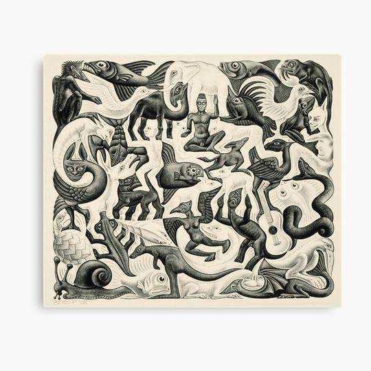 Discover Escher - Plane Filling II Canvas
