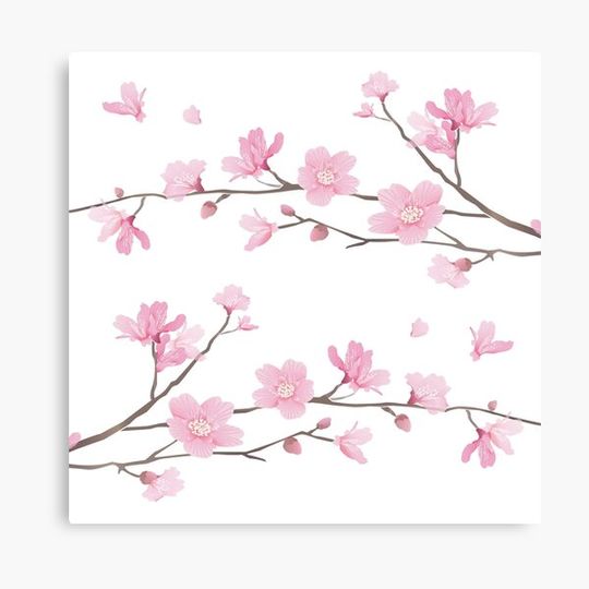 Discover Cherry Blossom flower plant - Transparent Background Canvas