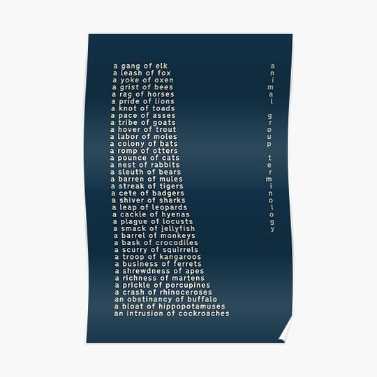 Discover Animal Group Terminology Poster Premium Matte Vertical Poster