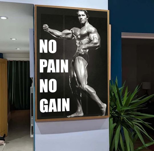 Discover Arnold Schwarzenegger Gym Poster