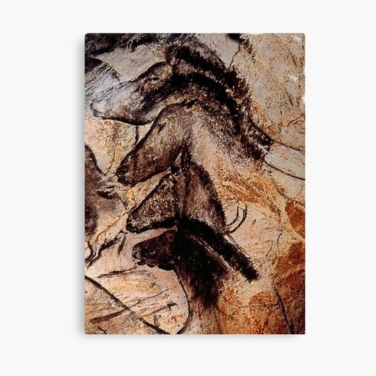Discover Stone-age Cave Paintings, Chauvet, France Canvas