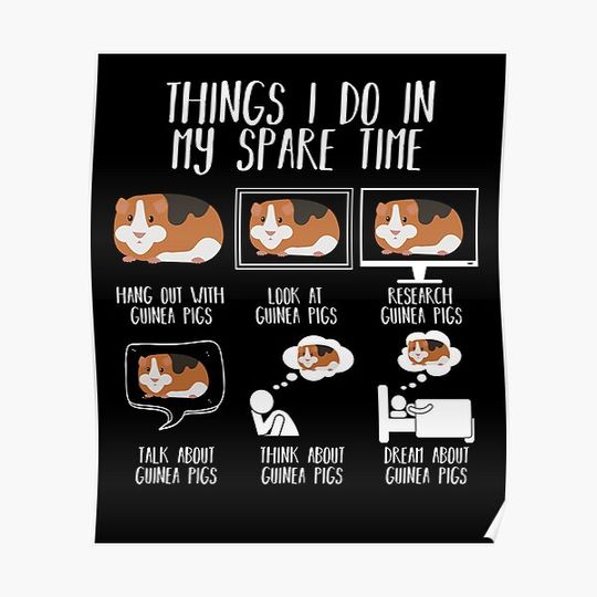 Discover Things I Do In My Spare Guinea Pigs Premium Matte Vertical Poster