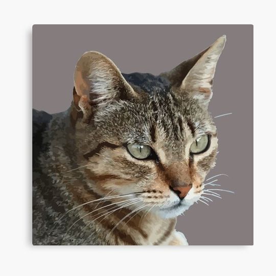 Discover Stunning Tabby Cat Close Up Portrait Vector Isolated Canvas