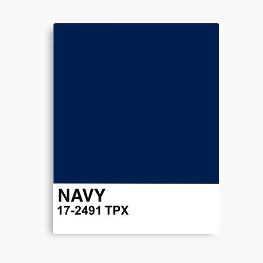 Discover Navy color swatch Canvas
