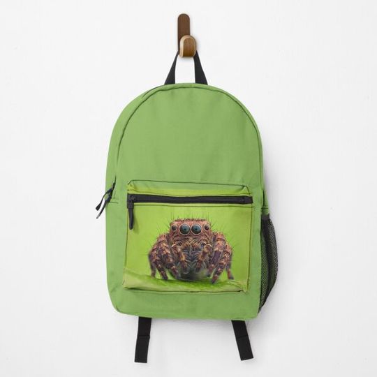Discover Jumping Spider Backpack