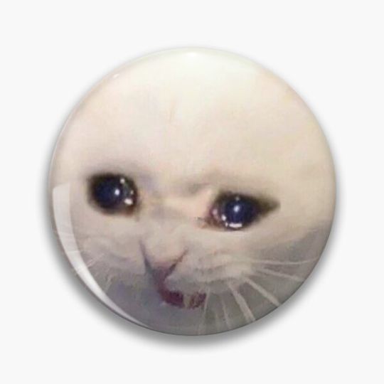 Discover Crying cat meme Pin Button