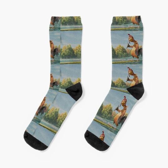 Discover Chicken Joe, Wisconsin Socks