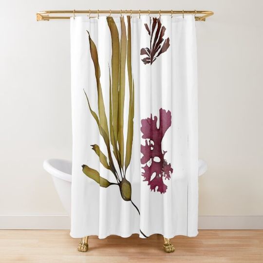 Discover Seaweed collage Shower Curtain