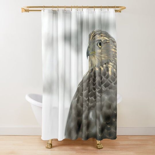 Discover Hawk, Nature, Photography Shower Curtain