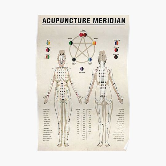 Discover Acupunture Meridian Premium Matte Vertical Poster