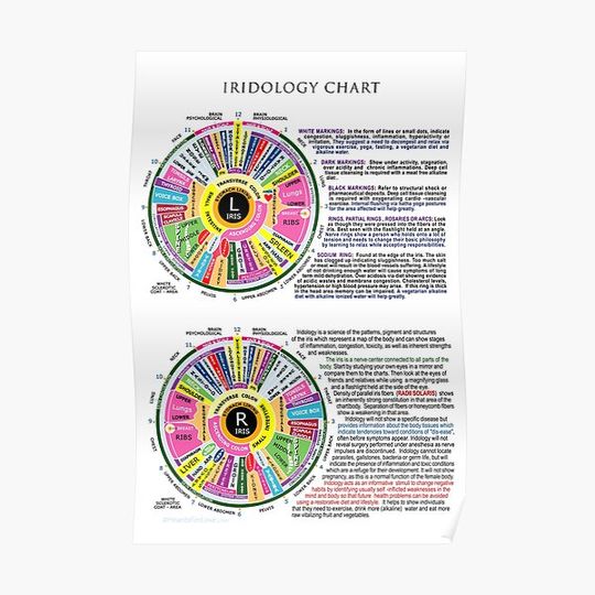 Discover Iridology Chart For Complementary Diagnosis Via The Eyes Premium Matte Vertical Poster