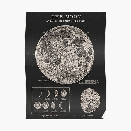 Discover The Moon Phases Fanart Premium Matte Vertical Poster