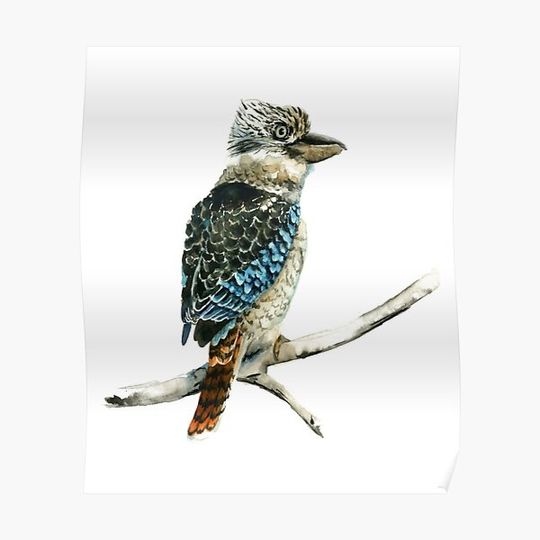 Discover Funny quote for kookaburra lover, kookaburra bird Premium Matte Vertical Poster