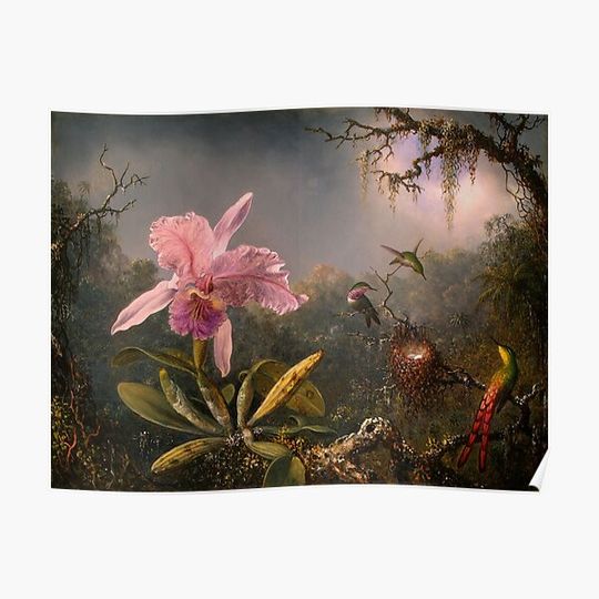 Discover Cattleya Orchid and Three Hummingbirds (1871) by Martin Johnson Heade Premium Matte Vertical Poster