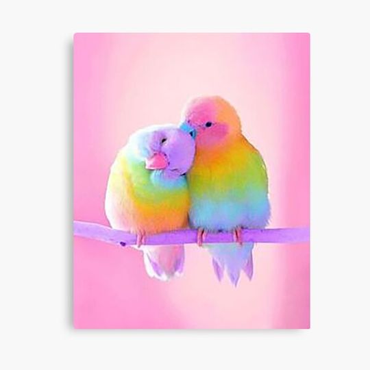 Discover Rainbow love birds Canvas