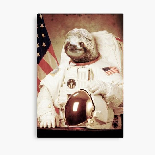 Discover Astronaut Sloth Canvas