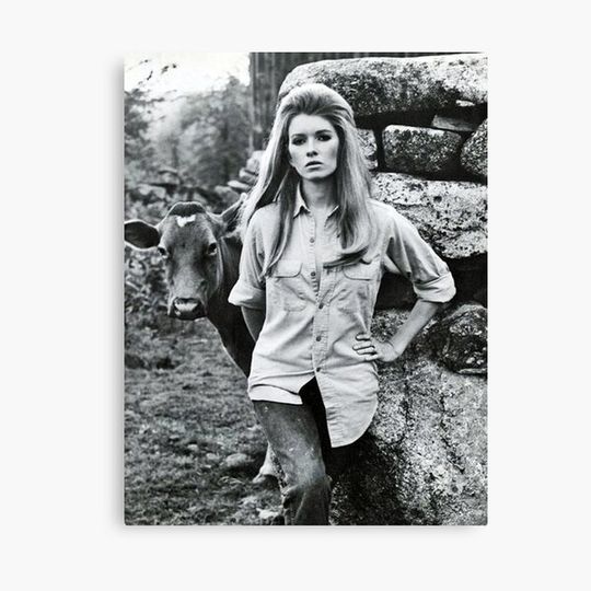 Discover A cow and young martha stewart Canvas